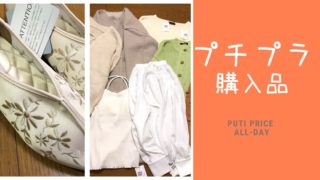 プチプラ購入品